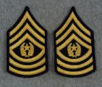 US Army Command Sergeant Major Rank Female