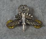 US Army Halo Freefall Parachutist Master Badge