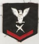 USN PO 3rd Class Cryptologic Tech Patch