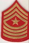 USMC Marine Sergeant Major Rank Female