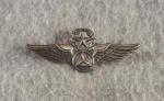 Civil Air Patrol CAP Master Pilot Wings