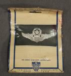 Vietnam Era Air Force Master Pilot Wings Cloth