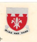 Helmet Decal US Army 169th Engineer Battalion