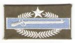 CIB Combat Infantry Badge 2nd Award Theater Error