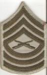 USMC Marine Master Sergeant Female Rank