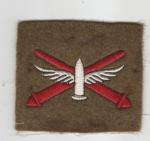 WWI Coastal Artillery Corps Patch