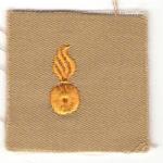 WWII Ordnance Officer Insignia