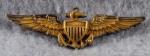 WWII USN Pilot Wing H&H