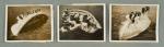 WWII Coast Guard Photo Lot Lifeboat Drill