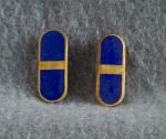 WWII AAF Flight Officer Insignia Pin Pair