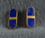 WWII AAF Flight Officer Insignia Pin Pair